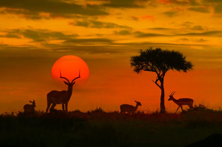New Partnership in Kenya